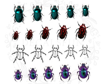 Beetle Nail Art waterstickers