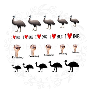 Emu Nail Art Water Decals