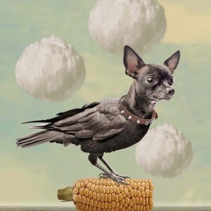 Surreal Animal, Digital Collage Art