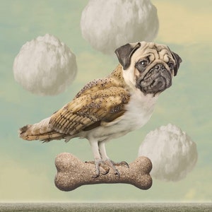 Surreal Animal, Digital Collage Art