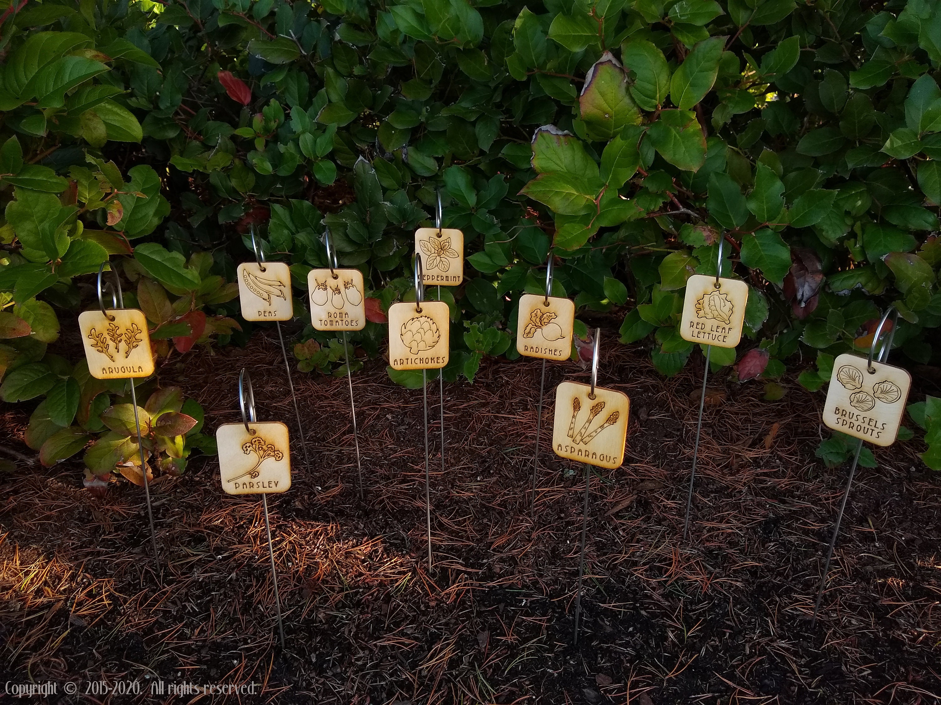 50 Garden Markers Laser Cut Laser Engraved Garden Labels Etsy