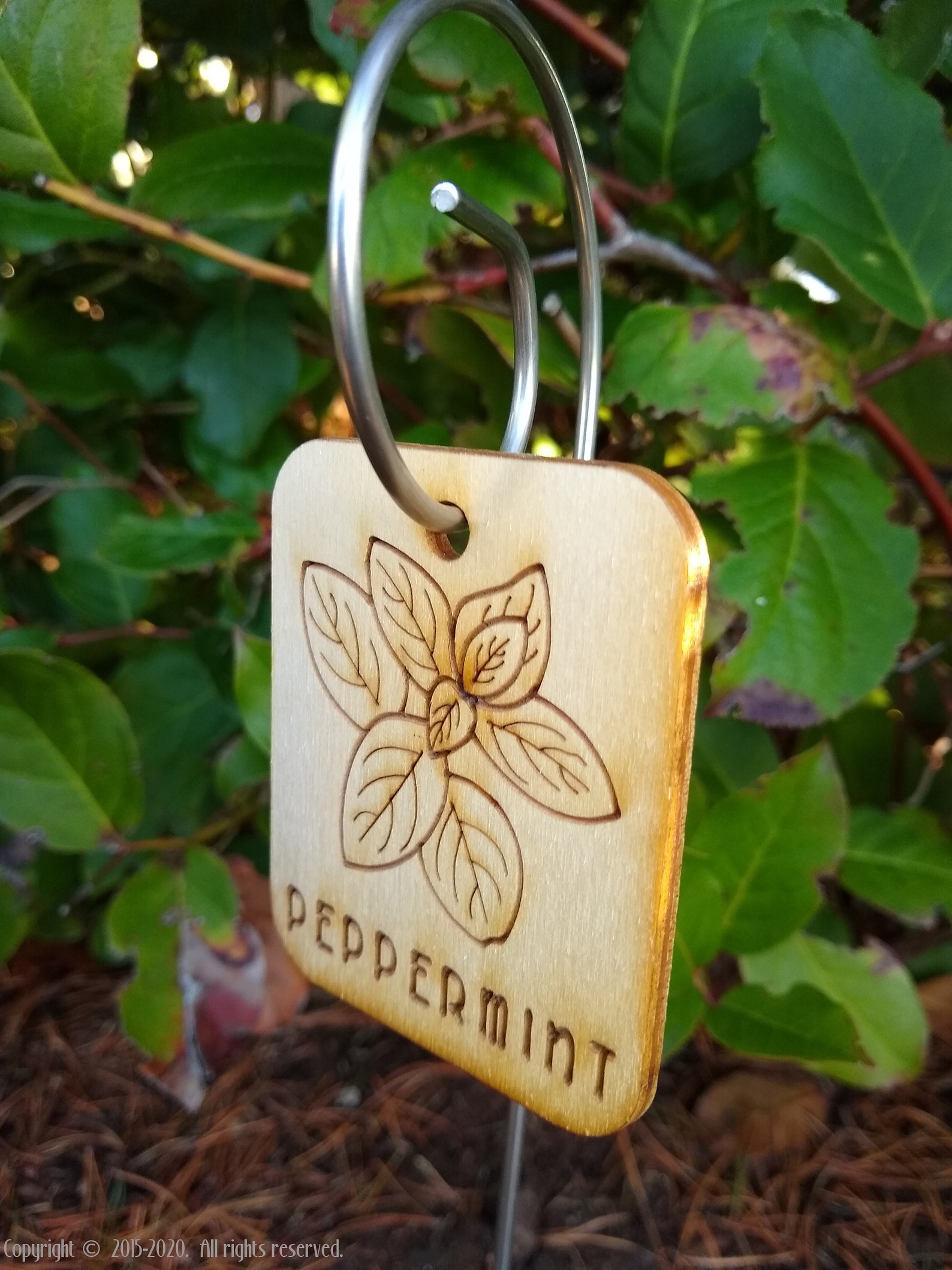 50 Garden Markers Laser Cut Laser Engraved Garden Labels Etsy