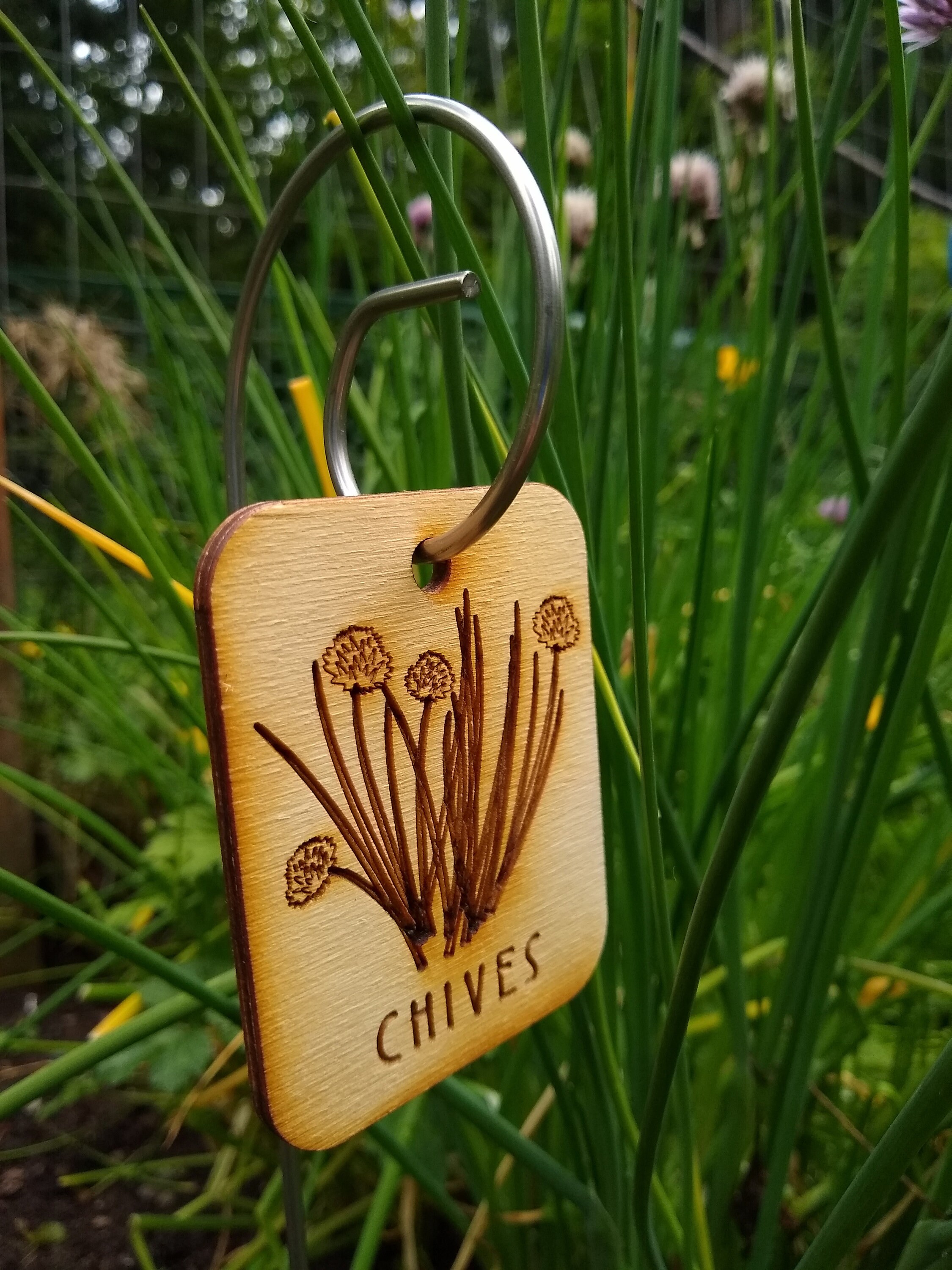 50 Garden Markers Laser Cut Laser Engraved Garden Labels Etsy