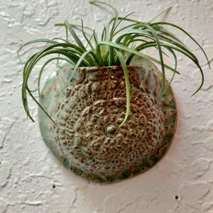 May include: A semi-circular wall-mounted ceramic planter with a textured, embossed surface featuring a mix of copper-brown and sage-green glaze. A spiky, thin-leaved green air plant is nestled inside the opening of the vessel.