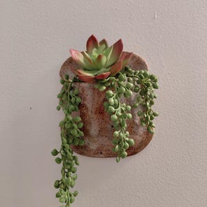 May include: A wall-mounted ceramic planter with a speckled brown glaze containing a faux succulent with reddish-tipped leaves and trailing green string of pearls vines that hang down from the opening of the rounded vessel.