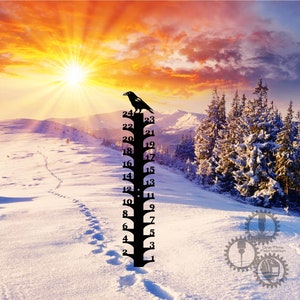 Snow Gauge/Crow/Weatherman/Snow Ruler/Snow Meter