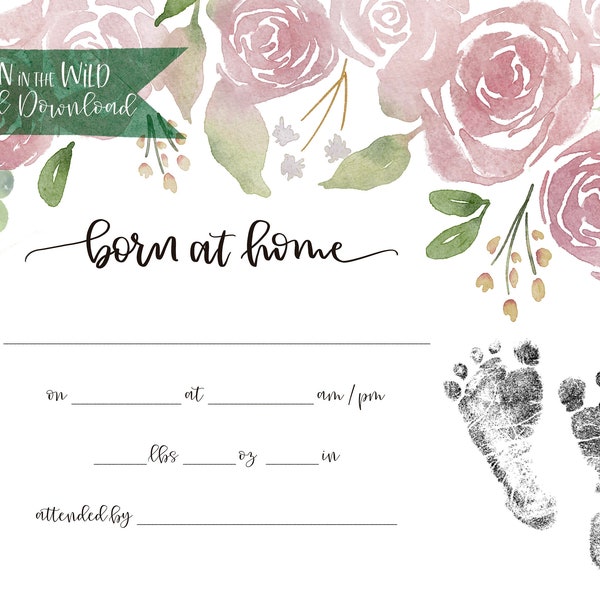Exquisite No Birth Certificate Born At Home Design Digital Art Exquisite No Birth Certificate Born At Home Design Digital Art