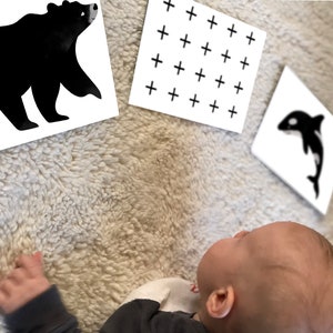 Newborn Sensory Development Cards | High Contrast Flashcards Watercolor Animals | Montessori Baby Art | Black & White Cards INSTANT DOWNLOAD