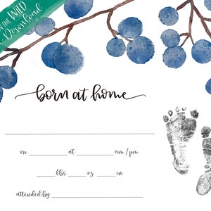 Born at Home Aquarell Blaubeeren Gedenk Geburtsurkunde | Geburtsankündigung Zeichen | Baby Junge Kinderzimmer Wand Kunst INSTANT DOWNLOAD