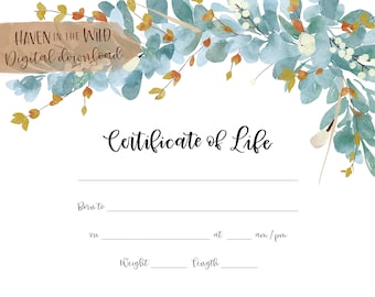 Certificate of Life for Miscarriage, Stillbirth & Infant Loss | Lamb’s Ear Keepsake Birth Certificate | Commemorative Art INSTANT DOWNLOAD