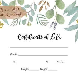Certificaat van in leven zijn | Aandenken miskraam, doodgeboorte en babyverlies | Herdenkingscertificaat zachte aquarel eucalyptus INSTANT DOWNLOAD