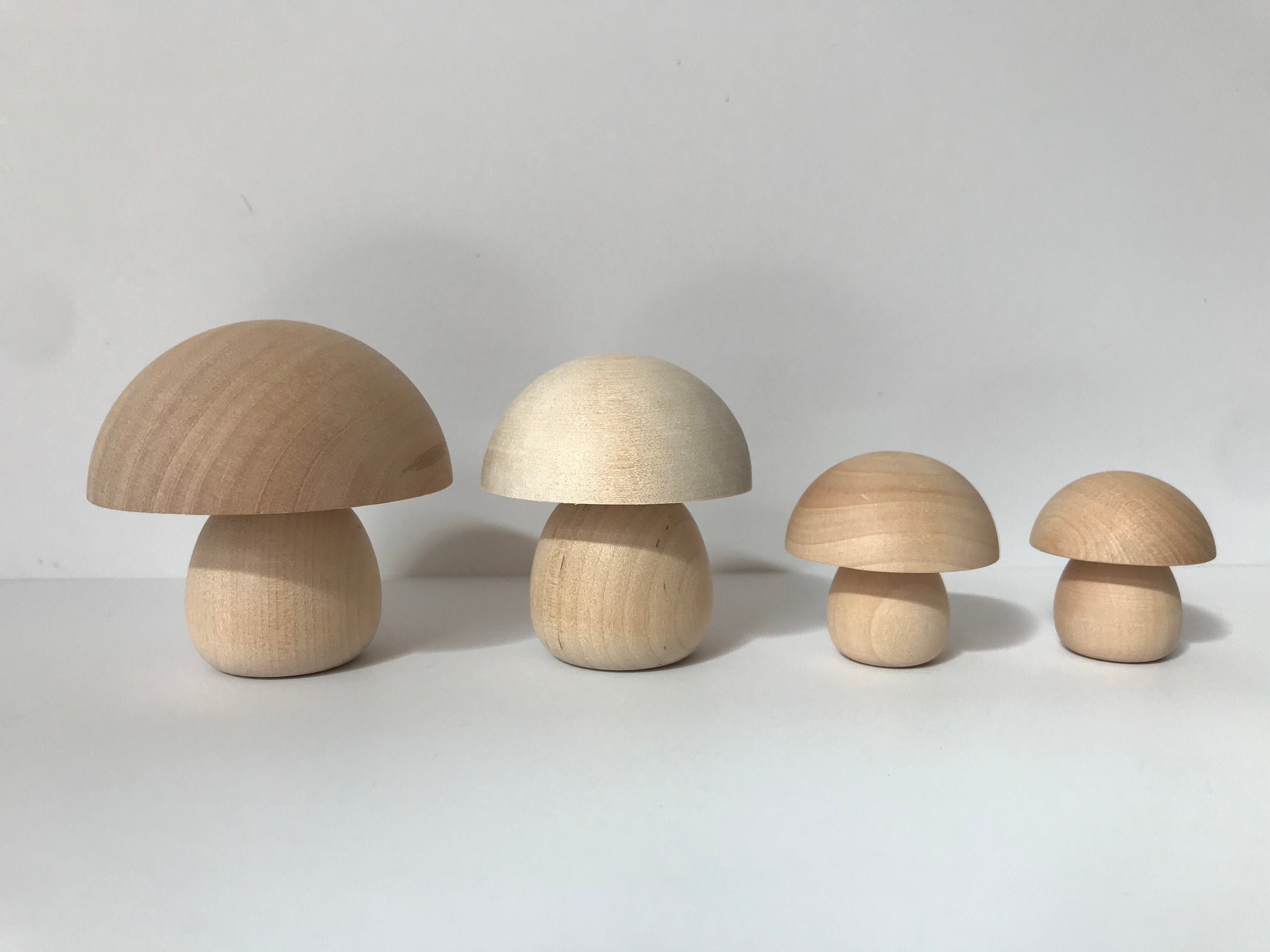 Wooden Miniature Mushroom Unfinished Set for Fairy Garden or Baby