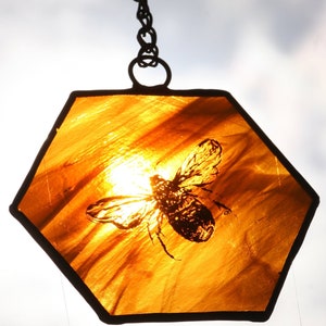 Eine handbemalte zarte Honigbiene in Gold & Schwarz gebrannt. Ein einzigartiges Bienenwaben Geschenk. Handgemachter Bernstein Buntglas Honig c Suncatcher.