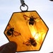 see more listings in the Honey Bees section