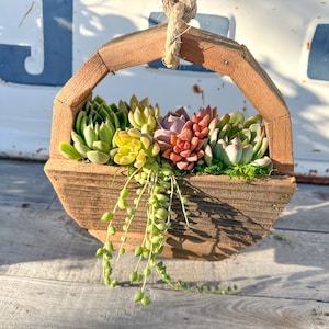 Circle Shaped Vertical Garden Planted with Succulents, Living Wall, Valentines Day, Sympathy Gift, Gift for Her, Mother's Day Gift Idea