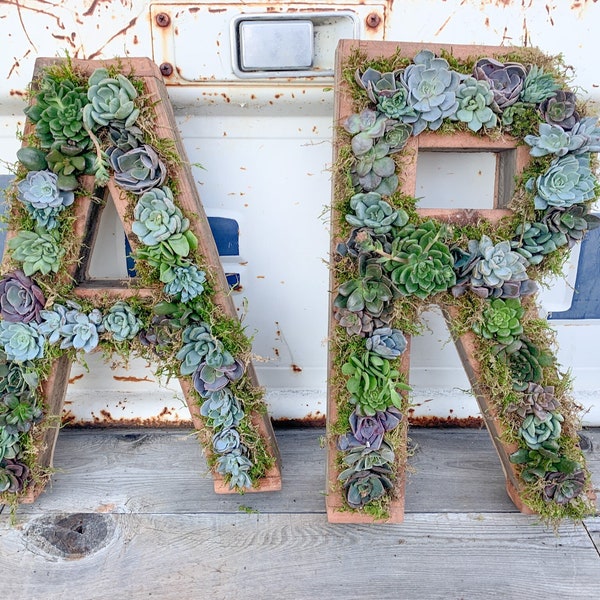 20'' A-Z & 0-9 Letter Planter, Mother's Day Gift Idea, Vertical Garden, Live Succulent Arrangement, Monogram, Valentines Day, Gift for Her