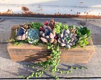 Bestseller, Live Succulent Arrangement Planter, Real Succulents, Wood, Garden Box, Client, Gift For Her ,Centerpiece, Sympathy Gift, Plants