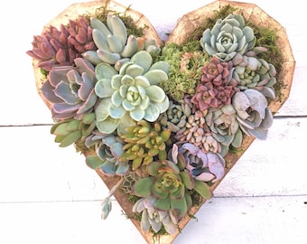 Bestseller, Heart Shaped Succulent Arrangement, Planter, Living Wall, BFF, Gift for her, Valentines Day, Sympathy Gift, Love, Mothers Day