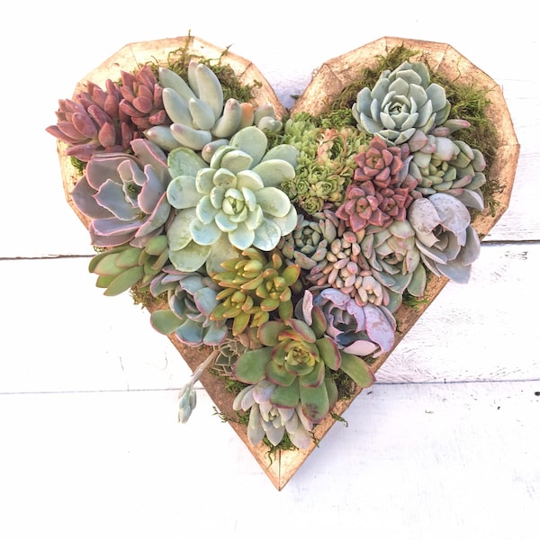 Bestseller, Heart Shaped Succulent Arrangement, Planter, Living Wall, BFF, Gift for her, Valentines Day, Sympathy Gift, Love, Mothers Day