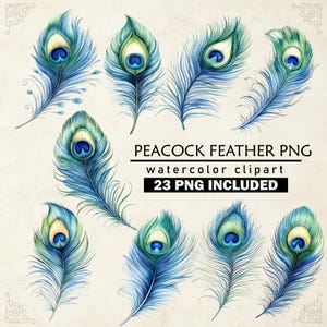 Peacock Feather Clipart, PNG file, Invitations, Card Making, Clip Art, Digital Paper Craft, Scrapbooking, Wall Art, junk journal