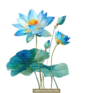 12 Lotus flowers PNG bundle | Watercolor Lotus Clipart | Colorful Lotus Sublimation Transparent PNG files