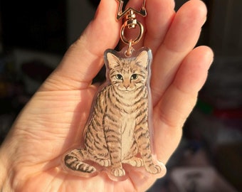 May include: A gold star-shaped keychain with a clear charm featuring a hand-painted illustration of a tabby cat. The cat is sitting with its paws tucked in and has a brown and white striped pattern.