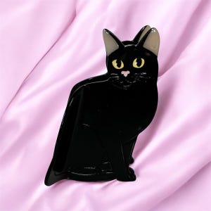 May include: Black cat brooch with yellow eyes and a pink nose. The brooch is made of black resin and has a glossy finish.