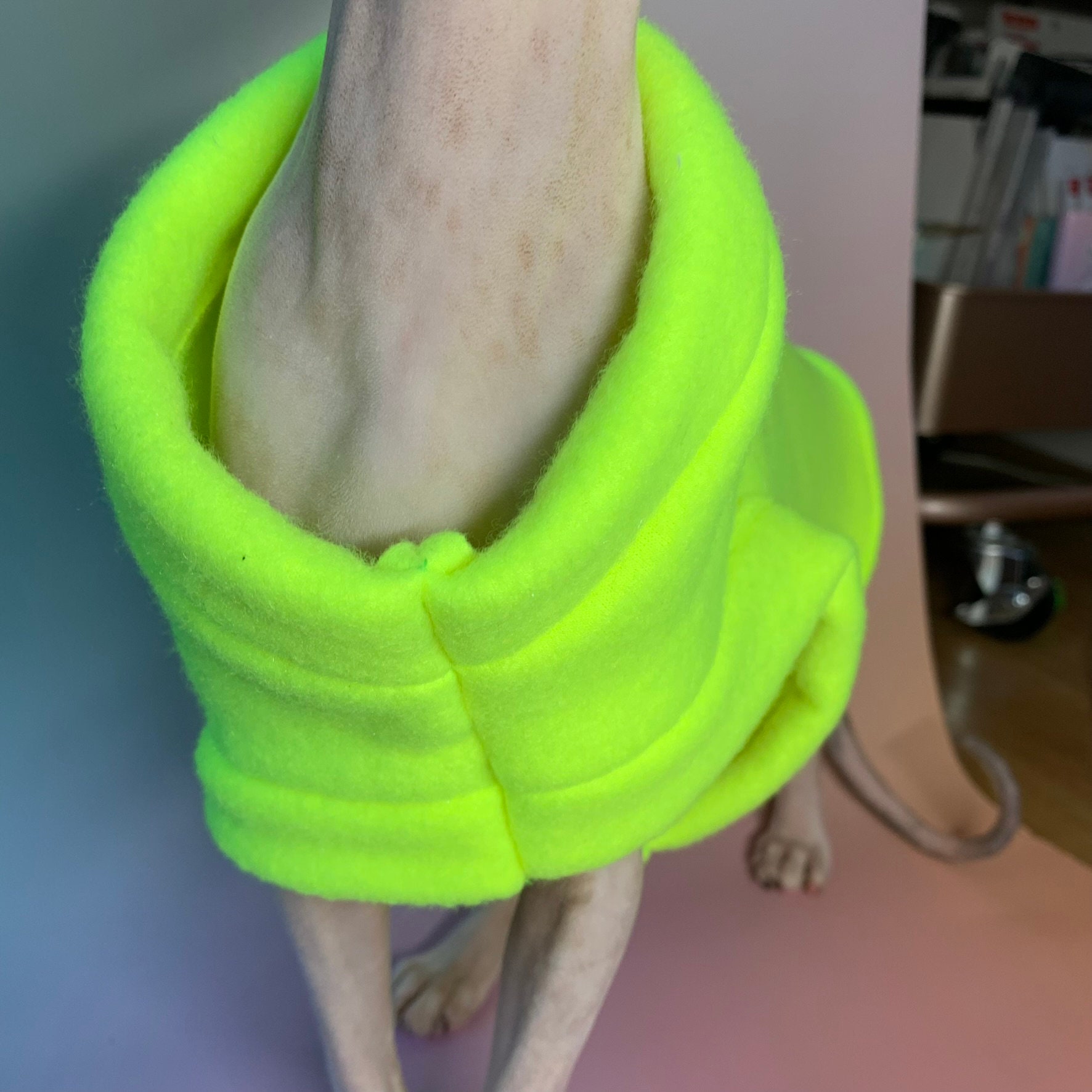 Neon Banana Sphynx Cat Sweater - Etsy