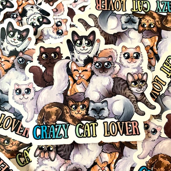 Crazy Cat Lover Weatherproof Sticker - Etsy