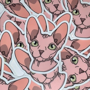 Sticker vinyle chat Sphynx