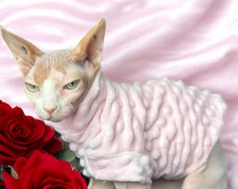 Puede incluir: Un gato sin pelo con un suéter rosa peludo. El gato está sentado en una superficie rosa con rosas rojas en primer plano.