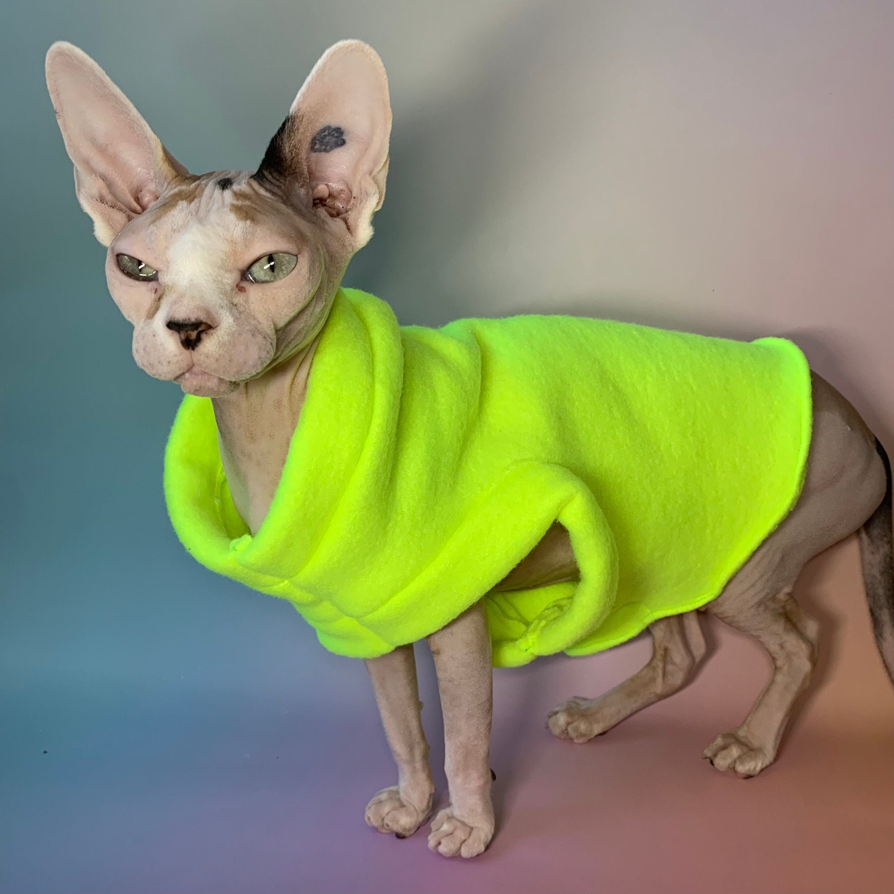 Neon Banana Sphynx Cat Sweater - Etsy