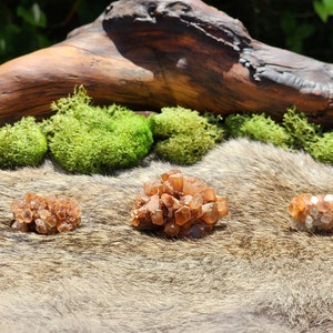 May include: Three clusters of orange calcite crystals on a brown faux fur background. The crystals are arranged in a row from left to right, with the largest cluster in the center.