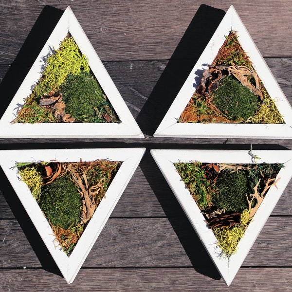 Petite White Triangle Framed Moss Hanging Wall Art