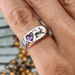 Anillo de plata de ley con forma de conejito: piedra de amatista en forma de corazón, Linerworks Jewelry