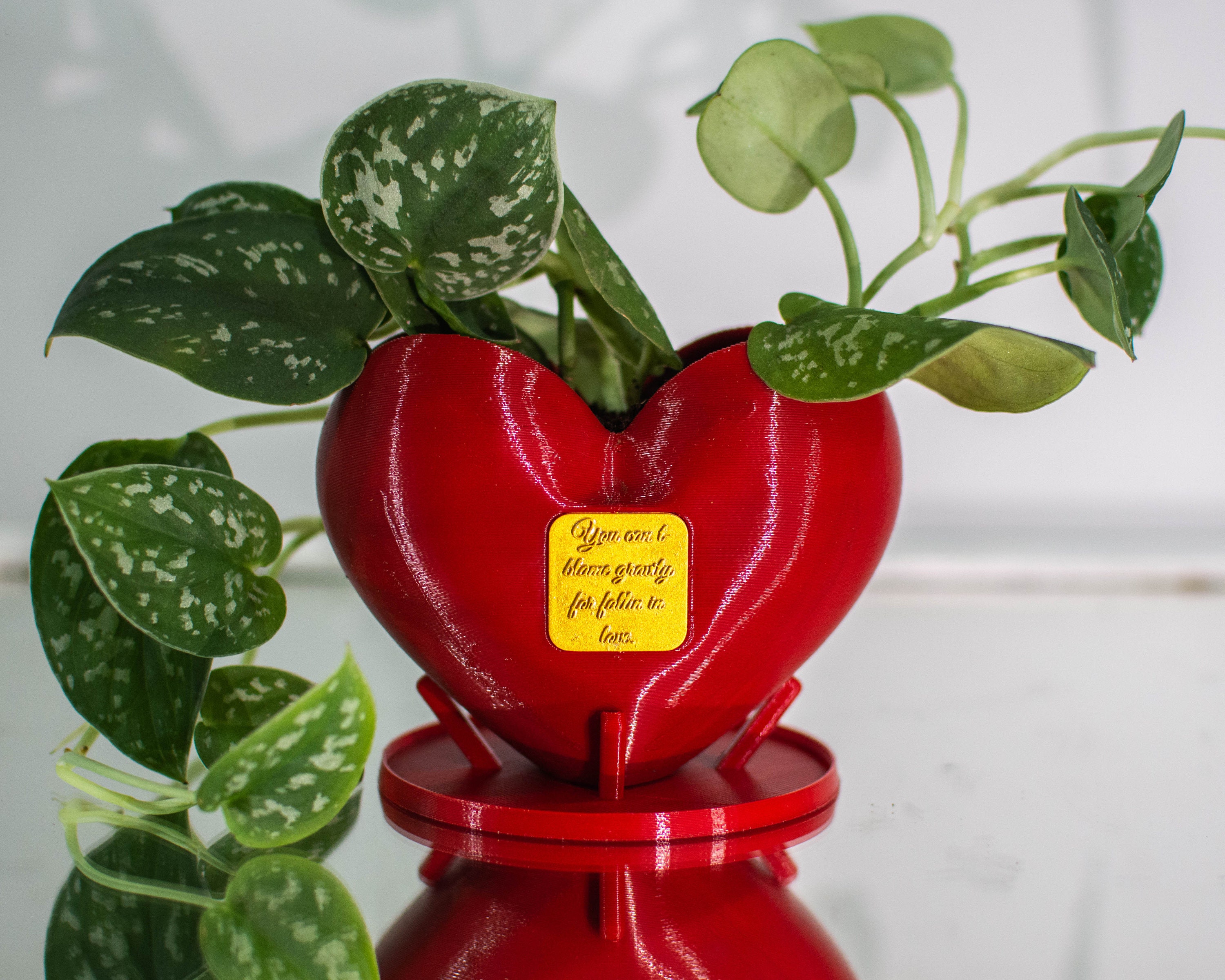 Personalized Heart Shaped Flower Pot for Indoor Plants with Etsy