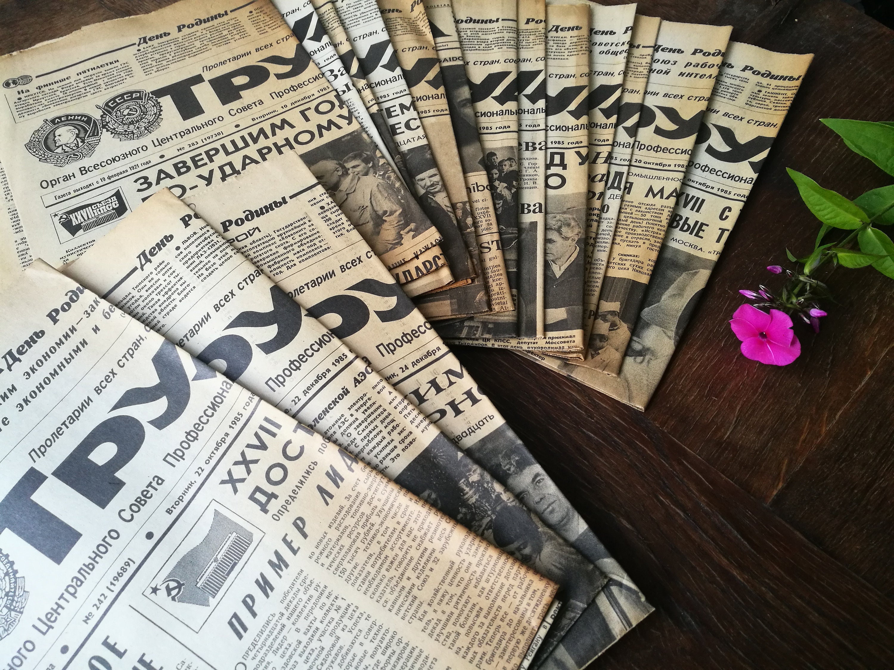 Newspaper Clipping Etsy Singapore