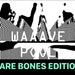 Quien Sabe reviewed Waaave_pool BARE BONES EDITION: sd video delay and feedback generator