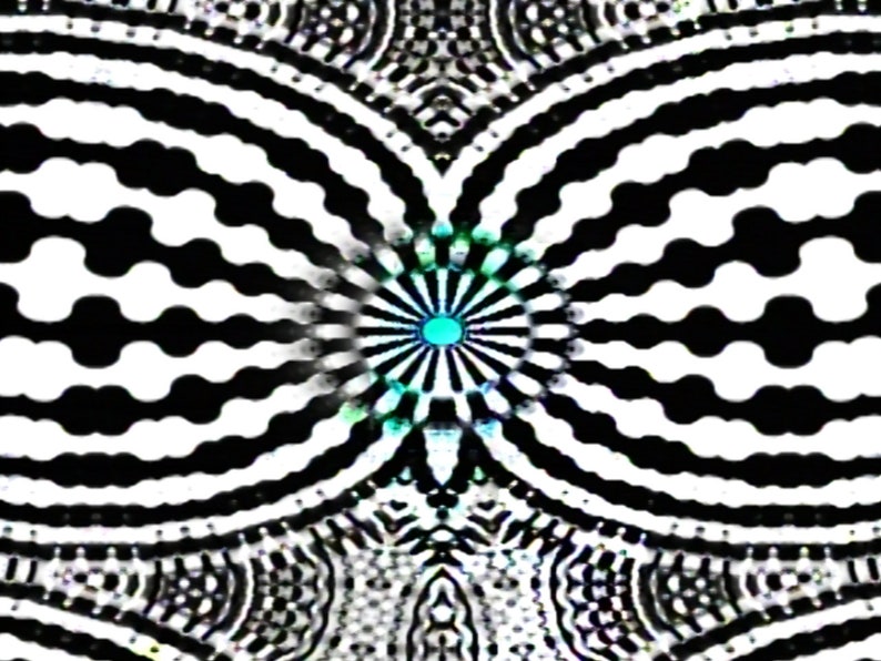 Waaave_pool BASIC EDITION PLUS: sd video delay and feedback image 3