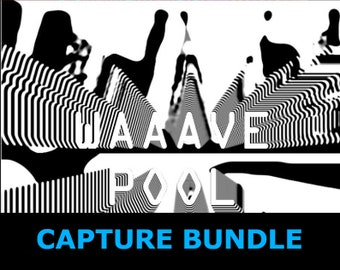 Waaave_pool CAPTURE BUNDLE: sd video delay and feedback generator