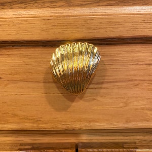 May include: A gold-colored, seashell-shaped cabinet knob. The knob is mounted on a light brown wooden cabinet door. The seashell design has detailed ridges and a shiny, reflective surface, adding a touch of coastal decor.
