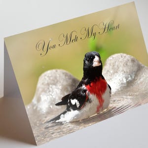 Você Derrete Meu Coração, Grosbeak de Peito Rosa, Cartão Imprimível A7, Grosbeak, Impressões 5x7, Cartão Digital, Cartões A7, Amor, Dia dos Namorados