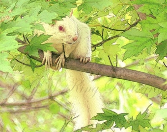 Albino Squirrel Photo Art Printable Digital Download, Two Ratios, 300 DPI, Squirrel Digital, Squirrel Print, Squirrel Card, Squirrel JPG