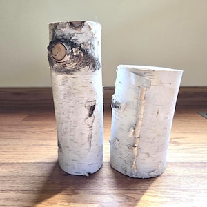 Two Large Paper Birch Pillars, 9 3/4 and 7 inch, Birch Logs, Birch, Birch Crafts, Birch Wood, Holiday Birch, Birch Decor, Rustic Decor