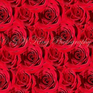 Colagem de rosas vermelhas para imprimir, dois tamanhos 5x7, 8x10, fundo de rosas, álbum de recortes de rosas, dia dos namorados, colagem de rosas