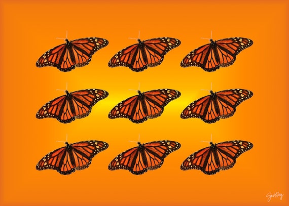 Monarch Butterfly Printables JPG 300 DPI Digital Files | Etsy