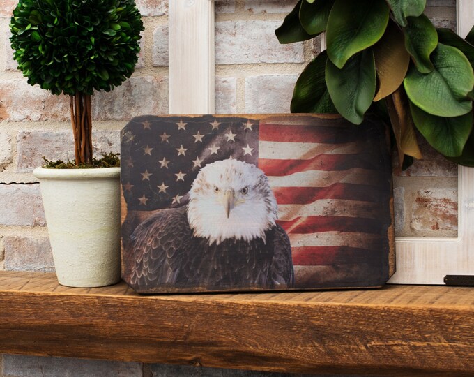 American Flag Sign, freedom sign, american sign, military gift, man cave, bald eagle sign, patriotic decor, american decor