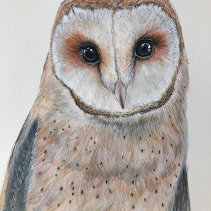 Barn Owl Original Watercolour Painting
