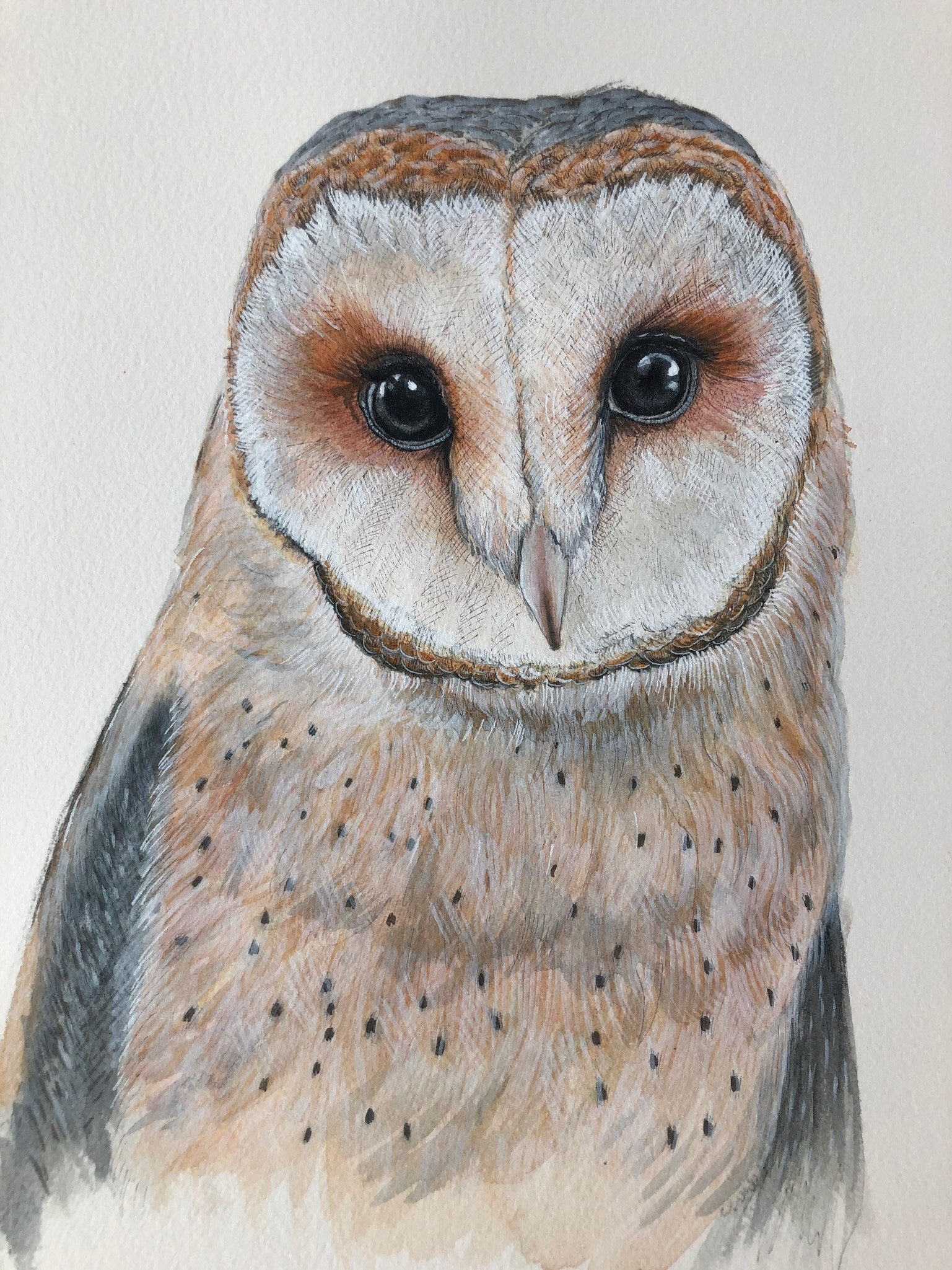 Barn Owl Original Watercolour Painting