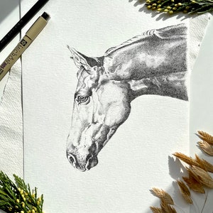 Equestrian pointillism